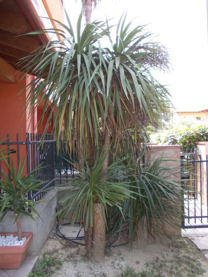 Alessandria Residence Desenzano del Garda Dış mekan fotoğraf